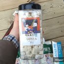 펫클럽광릉점