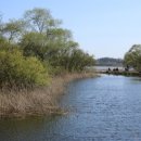 예당저수지연안낚시터 이미지