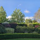 버튼호텔 이미지