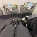 아주-0045 | 인천에서 보홀 직항 ✈ 진에어 LJ0045 탑승기 (비행시간·기내식·좌석리뷰 총정리)