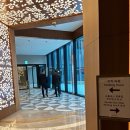 쇼비지니스호텔 | 인스파이어 리조트 포레스트타워 후기(수영장, 헬스장, 편의점, 오로라쇼)