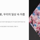 🍑복숭아꽃, 이렇게 활용할 수 있어요🍑