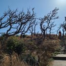 (주)풀과나무 이미지