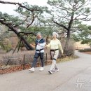 윔 보행운동센터 이미지