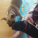 스파츄스 이미지