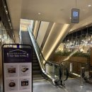 제주흑돈카츠 | 영등포 타임스퀘어 맛집 | 제주흑돈카츠 신세계백화점타임스퀘어점 내돈내산 후기