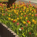 누굴돼지로아나 | 여자 넷이서 강릉여행 후기~♥