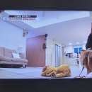 모현자동차공업사 이미지