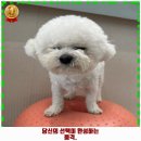 장림탕 이미지
