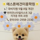 인동16길-6 이미지