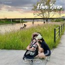 응봉체육공원 이미지