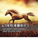 십 노 사 | 四字成語 총정리 <ㄴ> 146 노군수보~노년개발