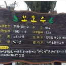 동강백운산 민박 이미지