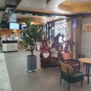 태백수족관 이미지