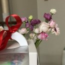 트롤리케이크