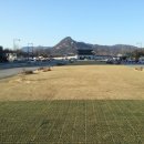 시청광장입구 이미지