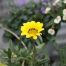 청안농장 이미지