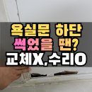 마포-현장-마포-178 | 일산 욕실문 부분수리 하단에 썩은 부분 제거 후 방수페인트 작업 방법과 후기