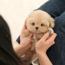 남구-045 이미지