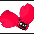 강북권투 이미지