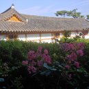 착한염색&착한가발