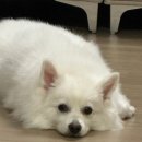 달구벌대로 378길 이미지