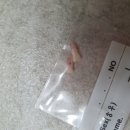 수목원치과의원 이미지