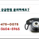 스키동