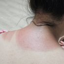 느티나무길>금강공원길 | 땡볕에 금강보행교에서 호수공원길 반나절 있다 온 후기