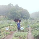 덕영이네 농장 이미지