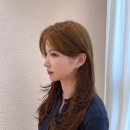 새미컷 네이버블로그