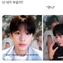 마마드림