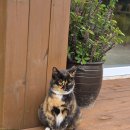 원당골1길 | [당진 카페] EDEN136 에덴136 카페 내돈내산 방문 후기