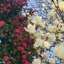 보성농어촌공공도서관 이미지