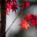 미래체육관 이미지