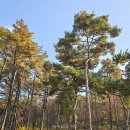 율곡4 | 경기도 파주 율곡수목원 방문 후기