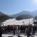 2024-01/25(목)국립공원 전북 덕유산 눈꽃축제 이미지