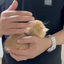 예카 PC방(인-100) | 🏖️🧑🏻‍🏫💍