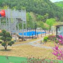 대명노르웨이숲 이미지