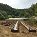 대가야 태양광발전소 이미지