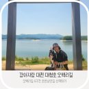 강아지마을2012 | 강아지랑 대전 대청호 오백리길4구간 명상정원— 미요와 함께한 힐링