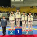 고려대 박연정 태권도 이미지