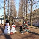 메타세쿼이어길 화장실 이미지