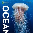 내셔널지오그래픽 특별기획 OCEAN : 가장 거대한 기록 후기 강추!