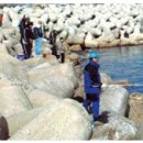 장기낚시터 이미지