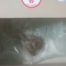 부엉이유통