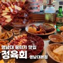 영남대 돈뜨락 경산본점 | 경산 영남대 맛집 정육회 경산영대본점 대학가 뭉티기 술집으로 최고인 이유