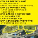해바라기카페 | 경주 해바라기와 능소화가 예쁜 여름 카페 바실라 출사 후기 (내돈내산)