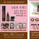 서울인셀덤