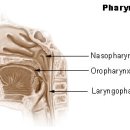 원당한의원 이미지